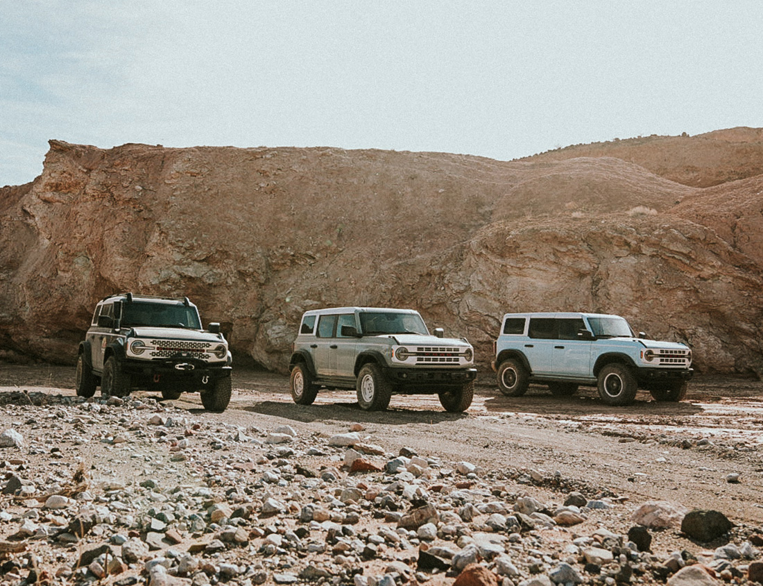 A sideview of broncos lined up near a cliff.